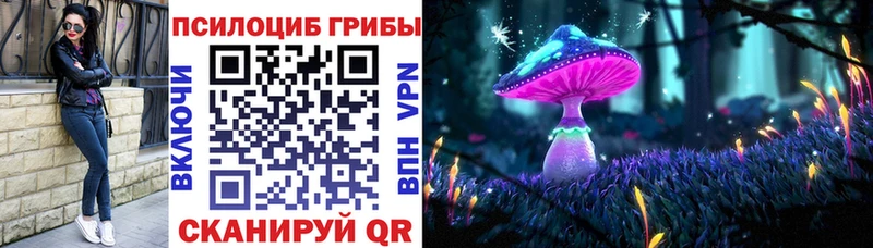 Купить  Новосибирск  Галлюциногенные грибы мицелий 